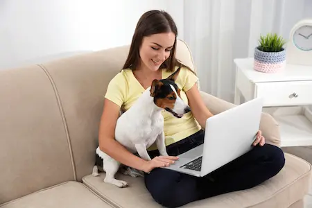 Hund mit Frau am Online Shoppen
